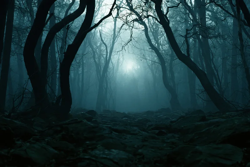 Dark forest path at night with bare twisted trees silhouetted in fog under moonlight