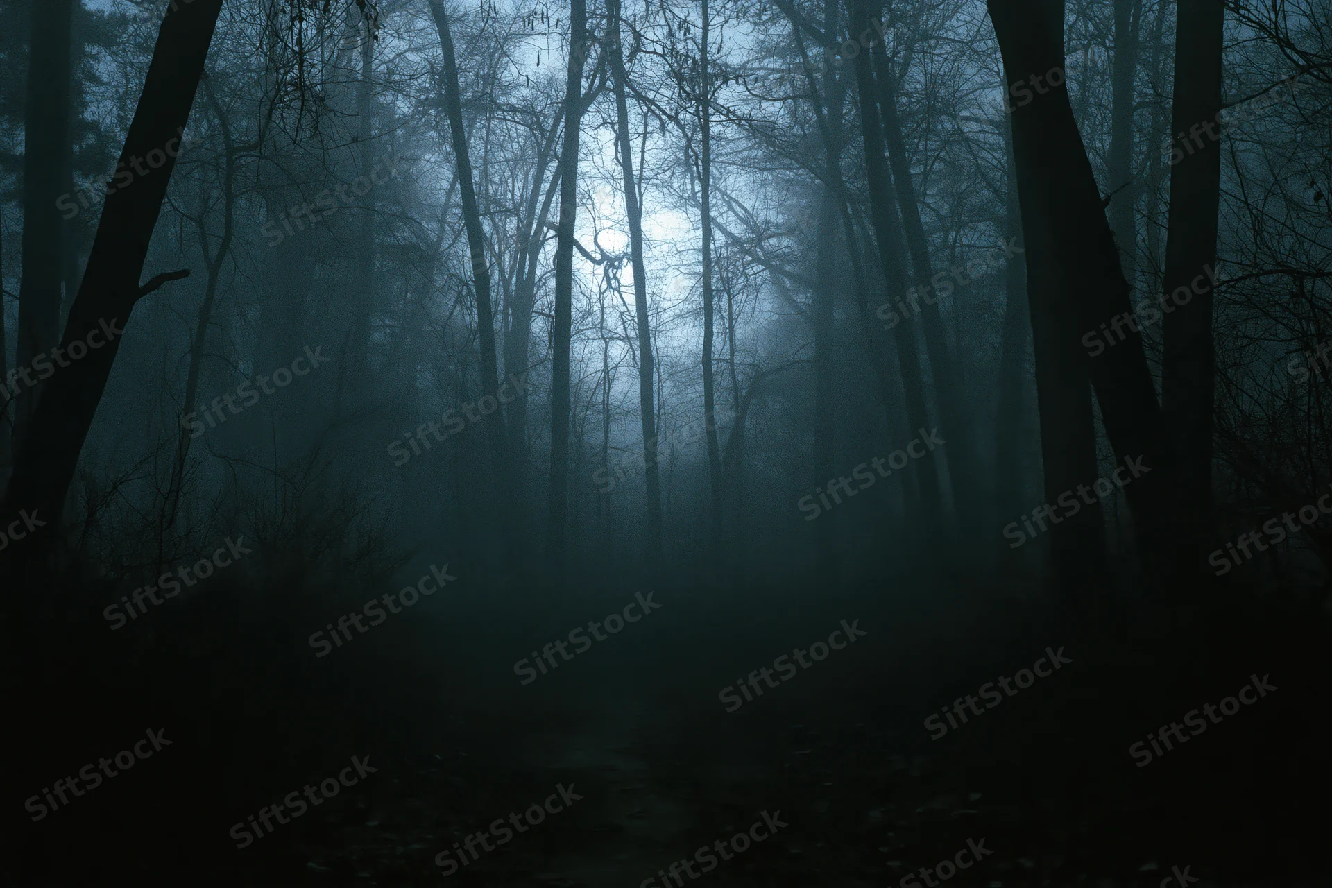 Dark forest path winding through foggy woodland at night with bare trees and dim light filtering through the mist