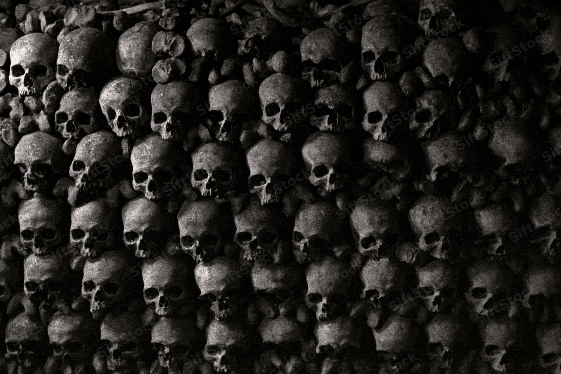 Densely packed human skulls and bones arranged in a dark ossuary floor