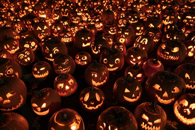 Dozens of carved jack-o-lanterns glowing in the dark at night