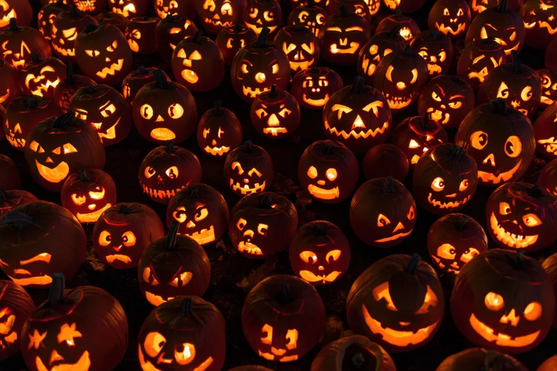 Dozens of carved jack-o-lanterns glowing in the dark at night
