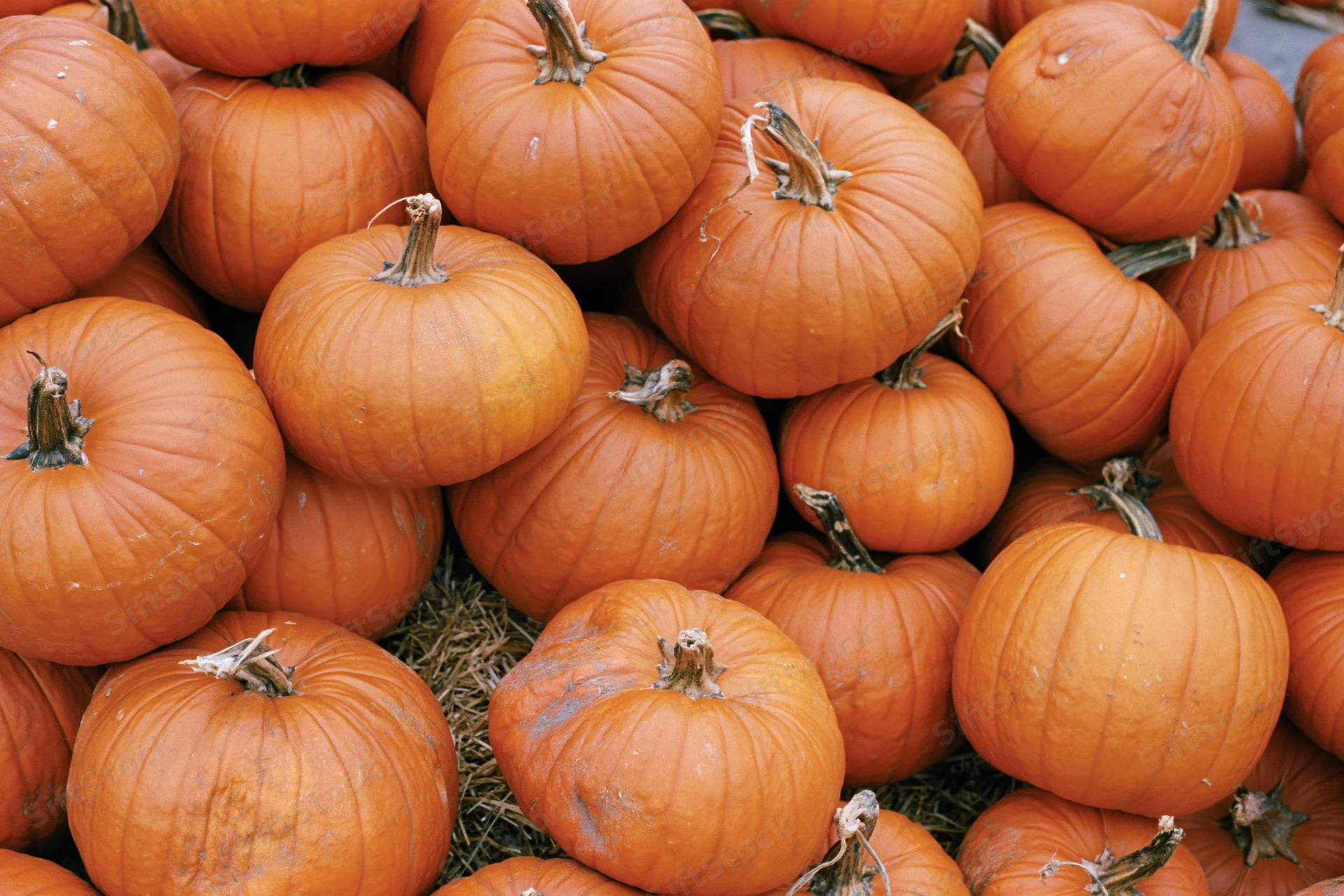 Pumpkins piled together on hay at a fall harvest market