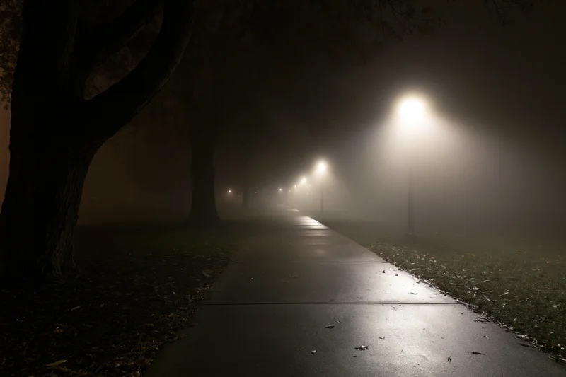 Foggy park path at night illuminated by streetlights lined with trees and scattered leaves