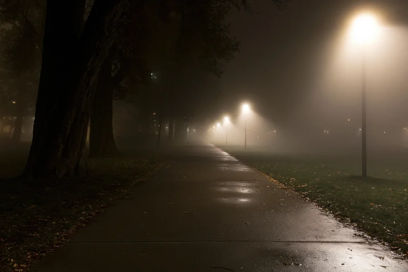 Foggy park path at night lined with streetlights and trees, wet pavement reflecting light, autumn leaves scattered along edges