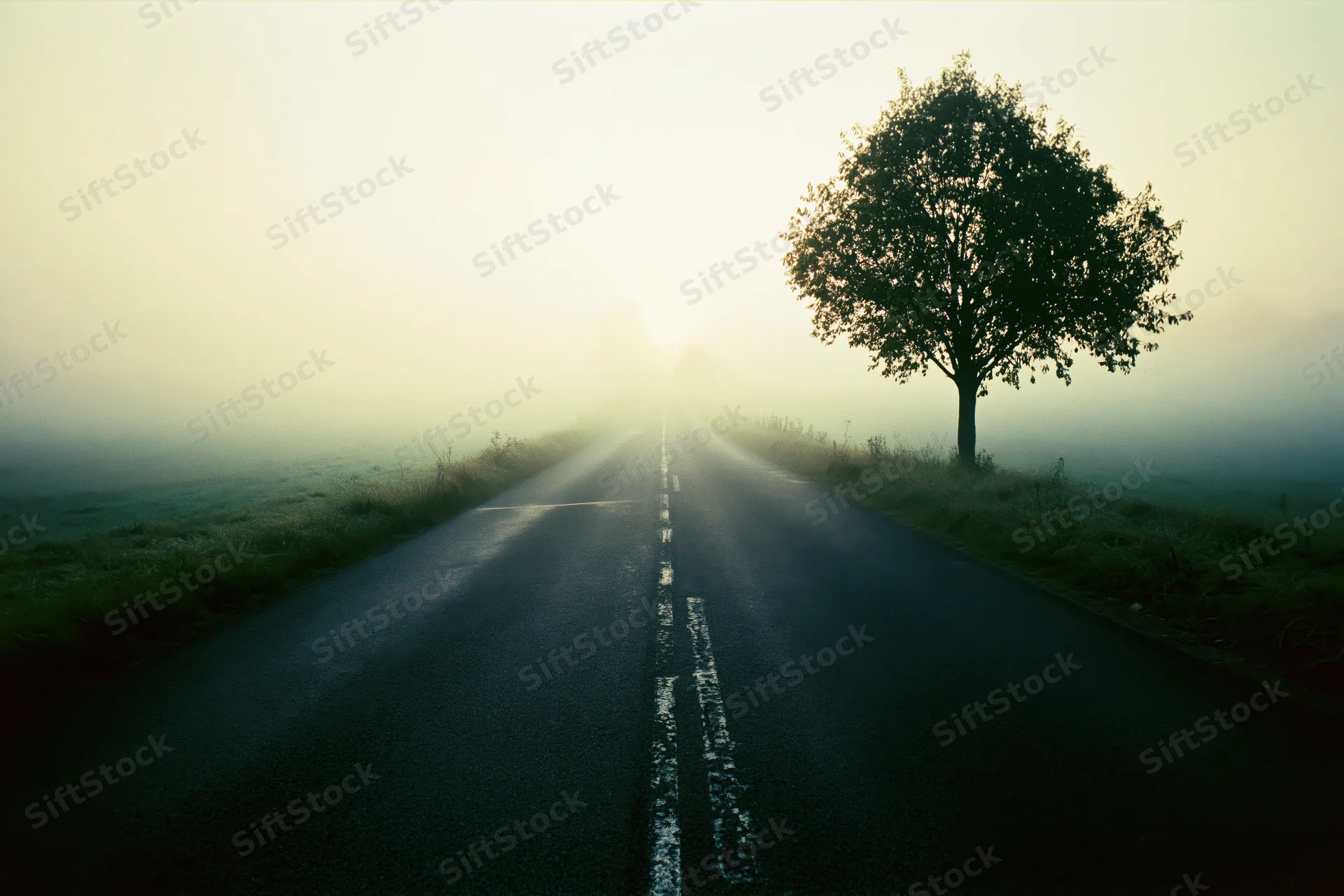 Empty two-lane rural road stretching into foggy horizon with solitary tree on side at dawn