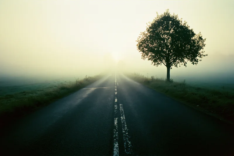 Empty two-lane rural road stretching into foggy horizon with solitary tree on side at dawn