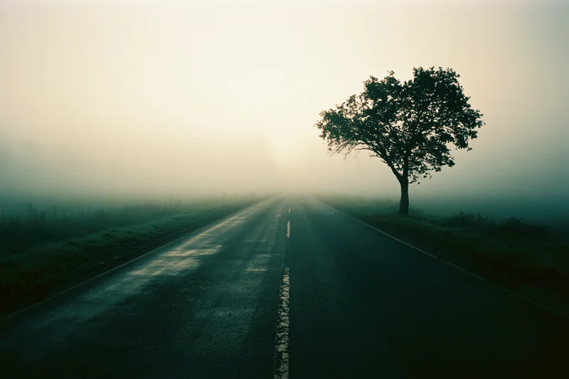 Empty two-lane rural road vanishing into dense fog with a solitary tree on the side