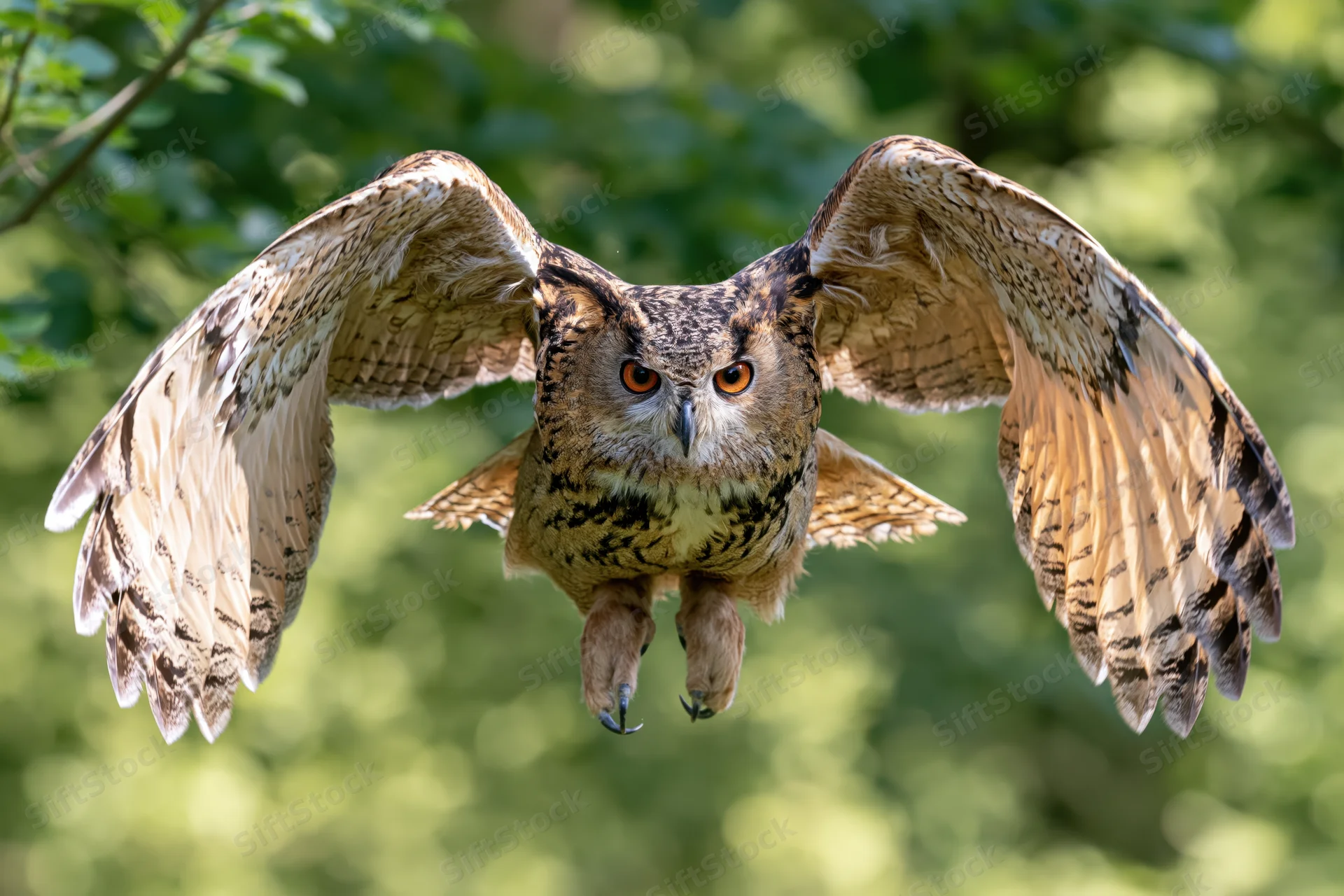 Eurasian eagle-owl flying toward camera with wings spread in forest setting