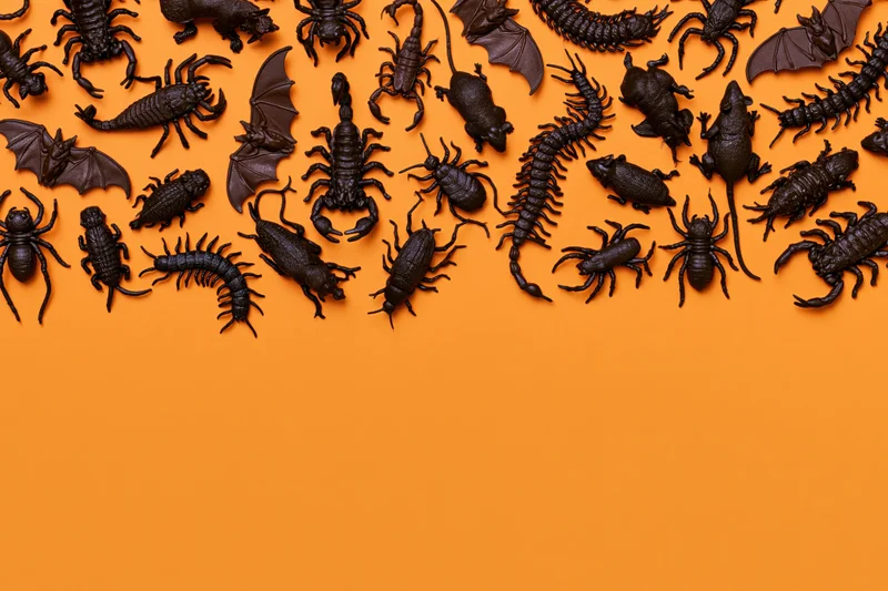 Dark plastic halloween toy creatures arranged in flat lay on orange surface with copyspace below