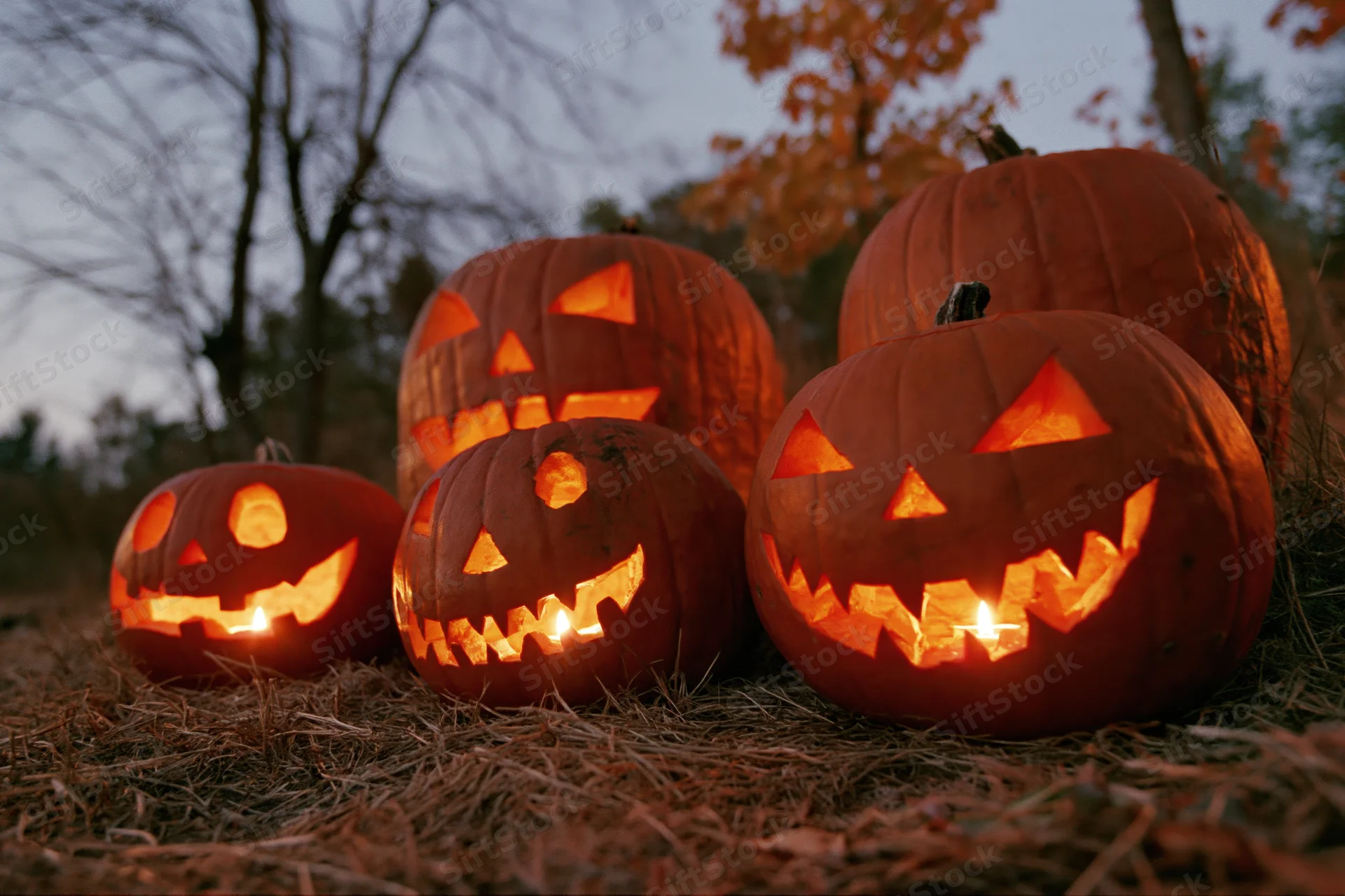 Carved jack-o-lanterns glowing on dry grass at dusk in a forest setting