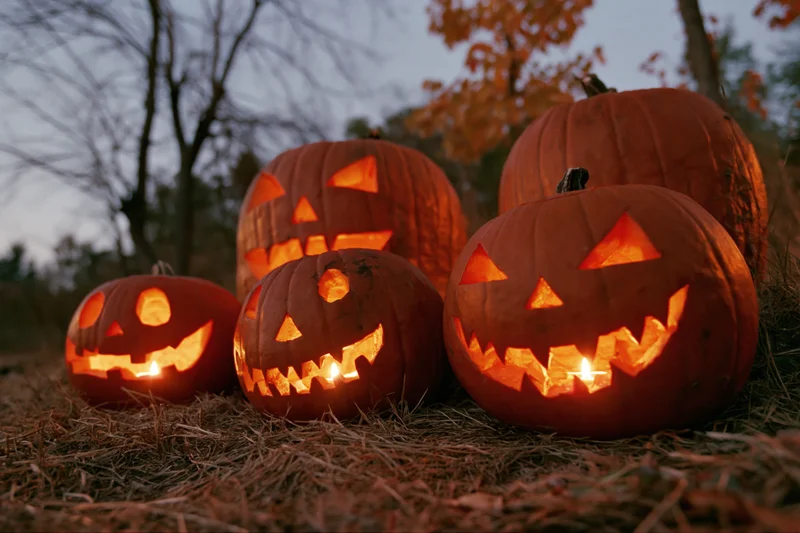 Carved jack-o-lanterns glowing on dry grass at dusk in a forest setting