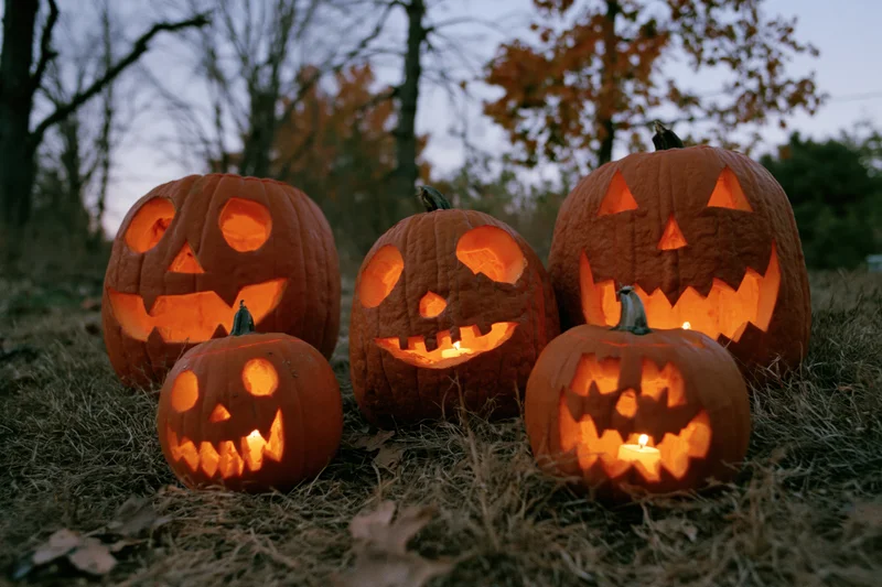 Five carved pumpkins glowing with candles on dry grass at dusk in a wooded area