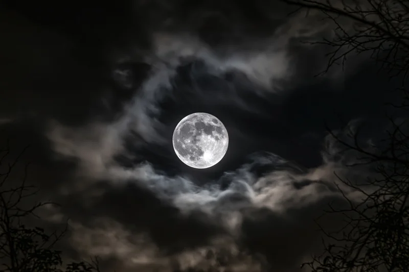 Full moon glowing in dark cloudy sky framed by bare tree branches