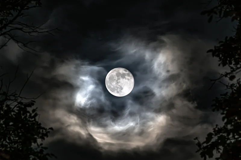 Full moon glowing in dark cloudy sky framed by tree branches