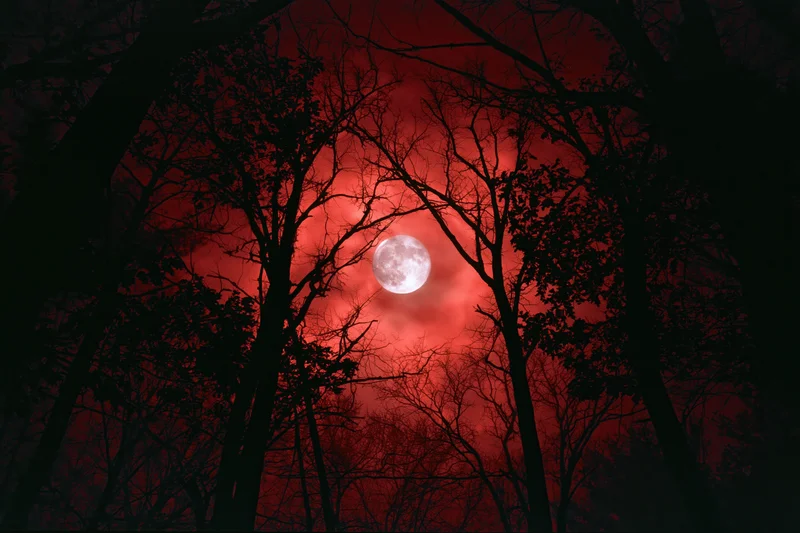 Full moon glowing pale white against deep crimson sky seen through dark forest silhouettes