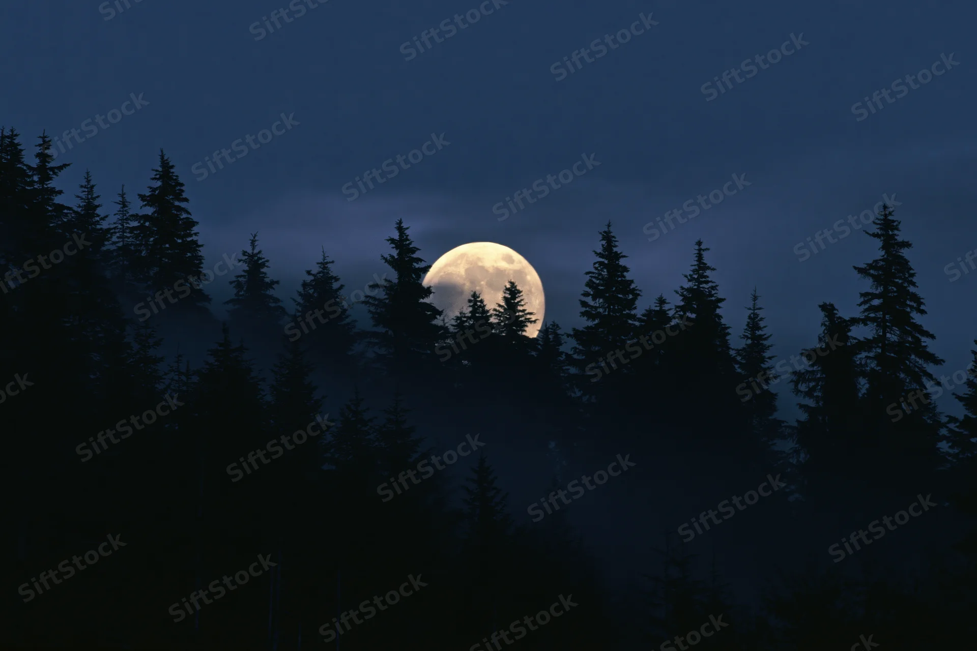 Full moon rising behind dense conifer forest at night, silhouetted against dark sky with mist below