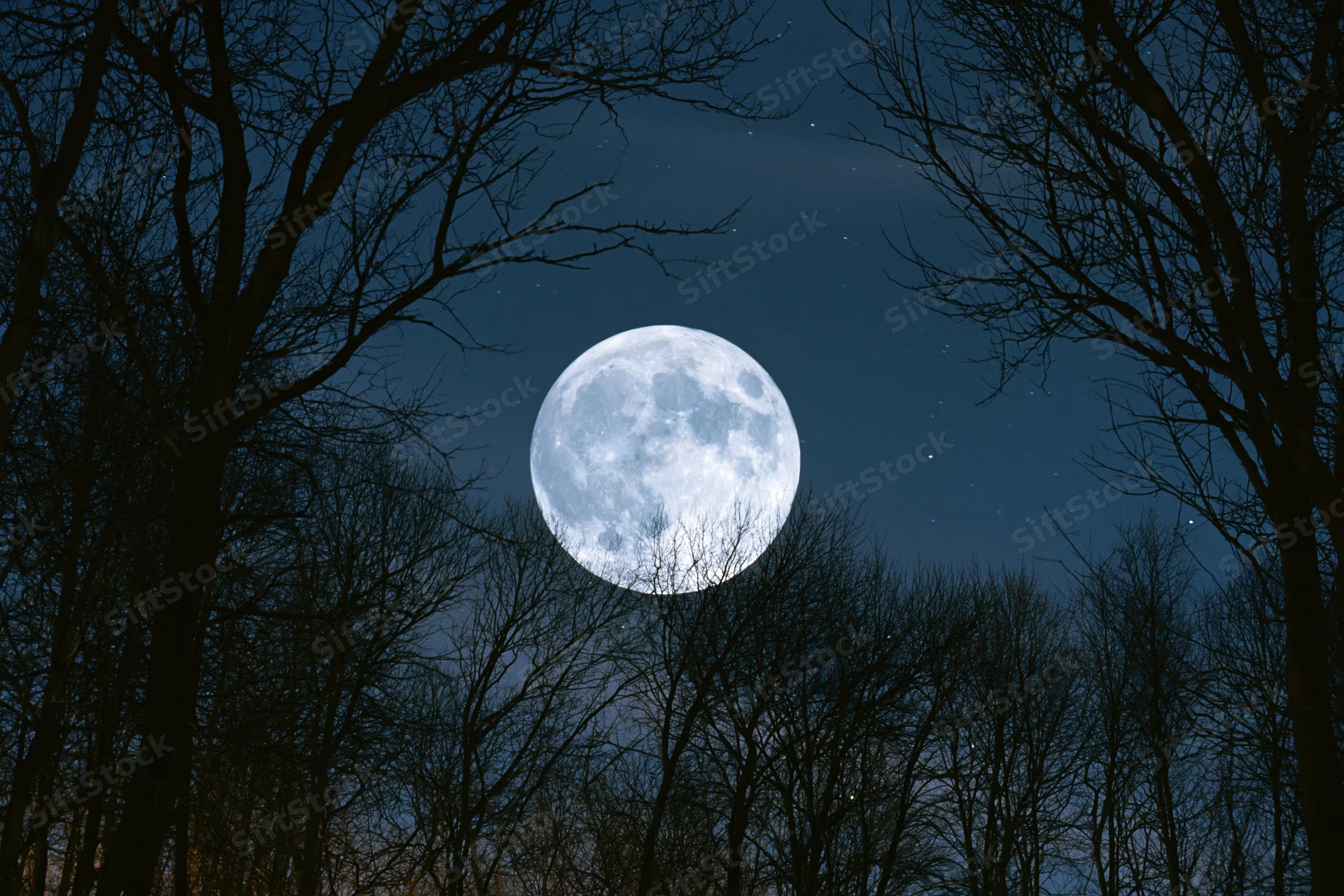 Full moon rising over bare winter forest at night