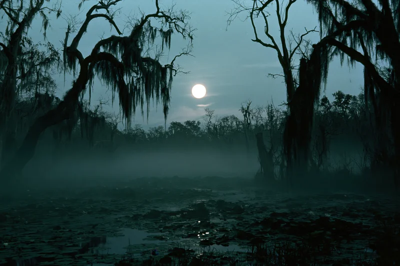 Full moon rising over a misty swamp at night with silhouetted cypress trees and still water reflecting the light