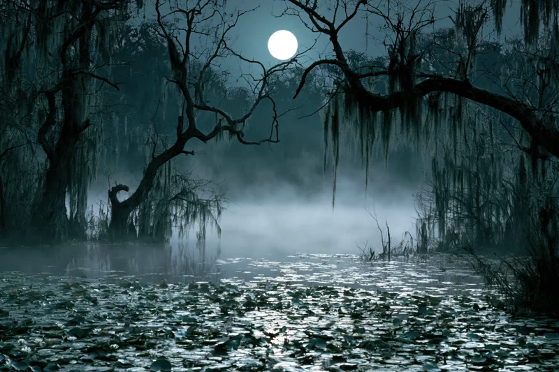 Full moon rising over a misty swamp at night with bare trees and lily pads on the water