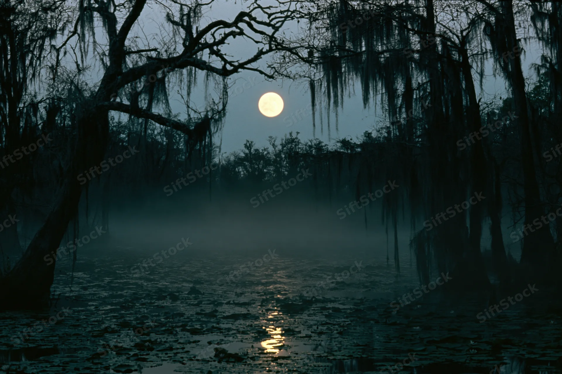 Full moon rising over a misty swamp at night with silhouetted cypress trees and water reflection