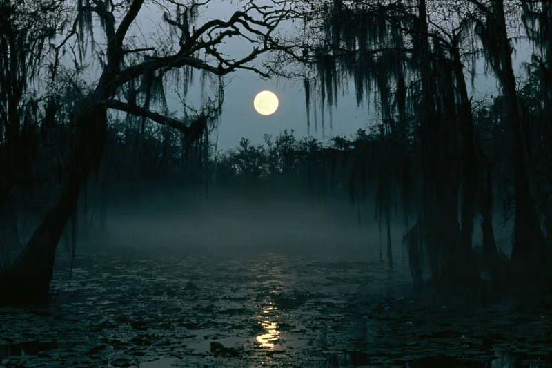 Full moon rising over a misty swamp at night with silhouetted cypress trees and water reflection