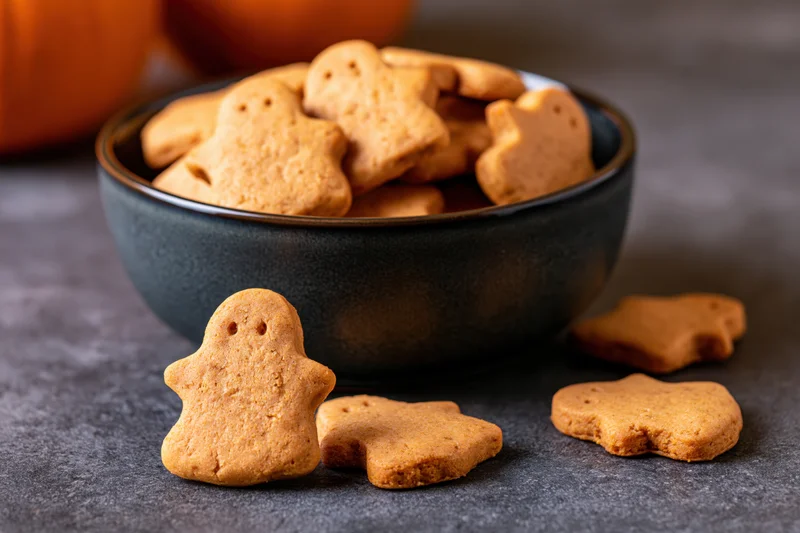Ghost-shaped pumpkin cookies in a dark ceramic bowl on a gray surface with pumpkins in the background