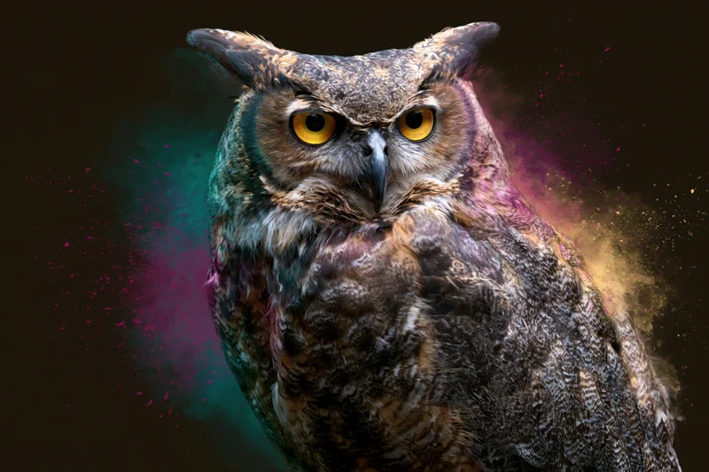 Great horned owl facing slightly left with intense amber eyes against dark background with colorful particle effects