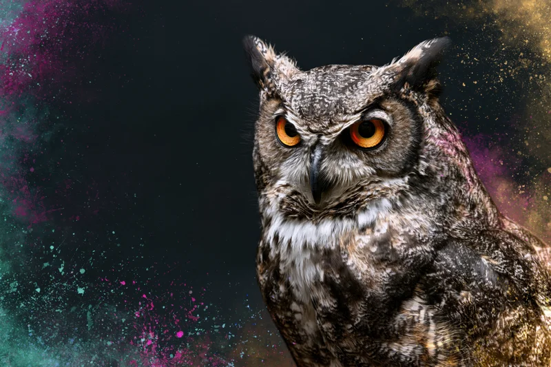 Great horned owl with intense amber eyes facing slightly left against dark background with colorful paint splatters