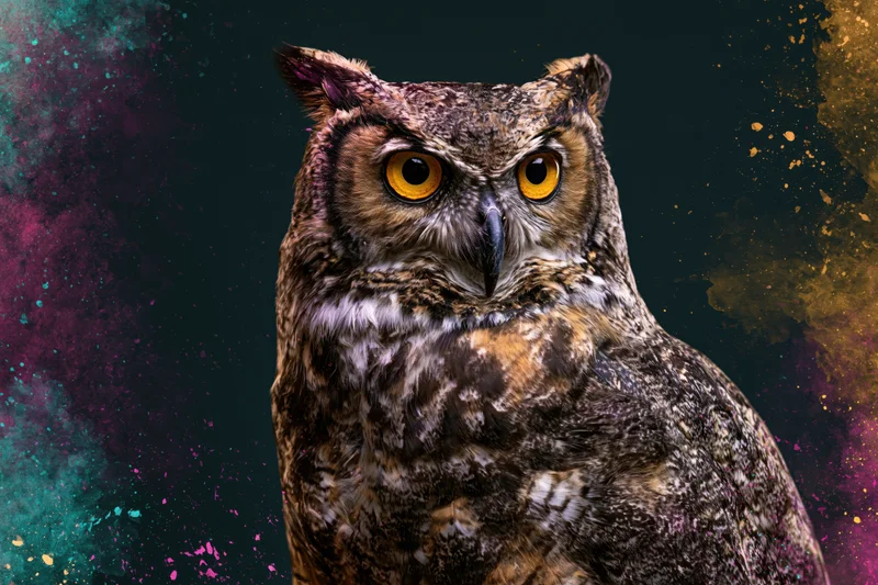 Great horned owl with intense amber eyes facing slightly left against a dark abstract background with colorful splatters