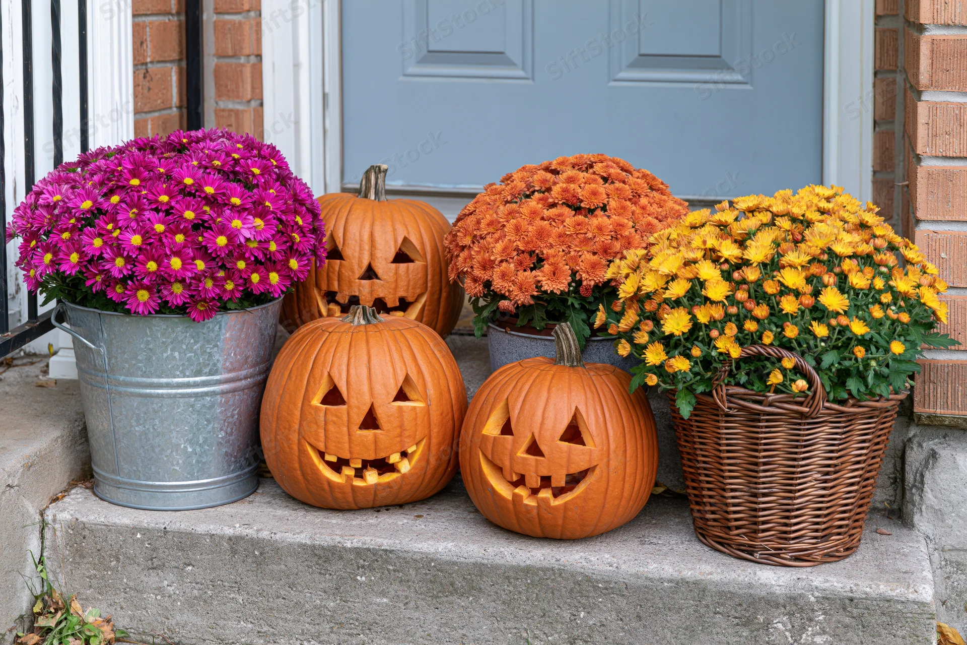 Three carved jack-o-lanterns and potted chrysanthemums arranged on front porch steps beside a blue door