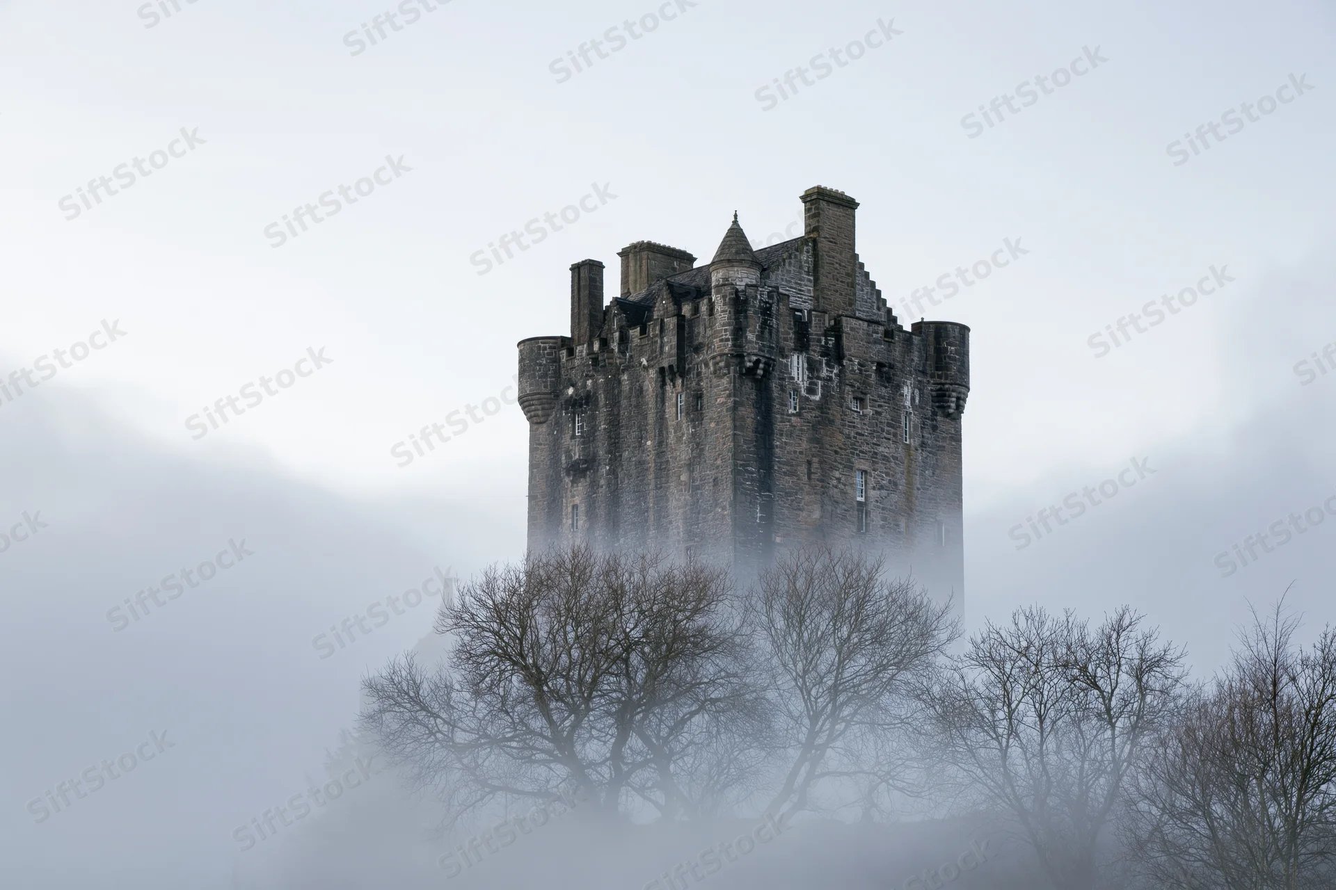 Historic stone castle with round crenellated tower rising from fog above bare trees
