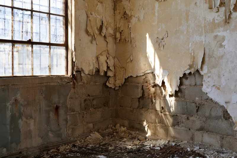 Crumbling plaster and exposed brick in a corner of an abandoned building interior with light through a grid window