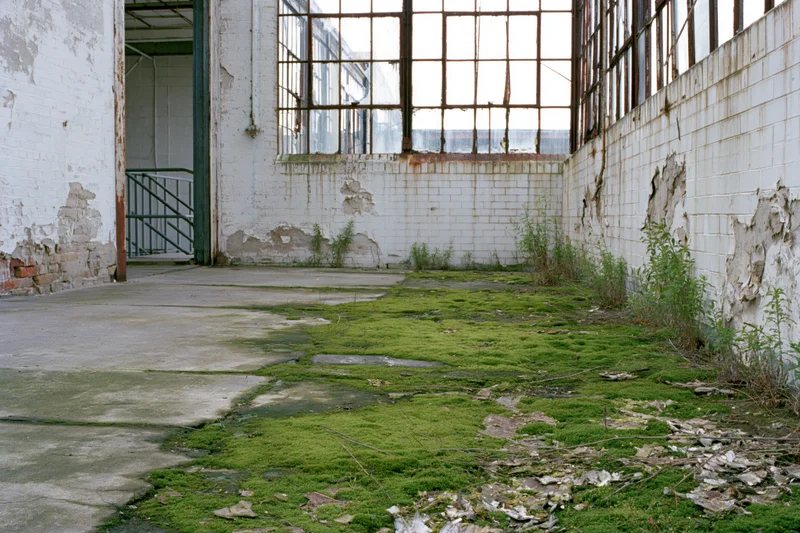 Moss-covered concrete floor inside abandoned industrial building with peeling walls and broken windows