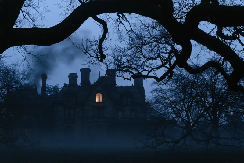 Victorian mansion at dusk with smoke rising from chimneys, framed by bare tree branches in fog