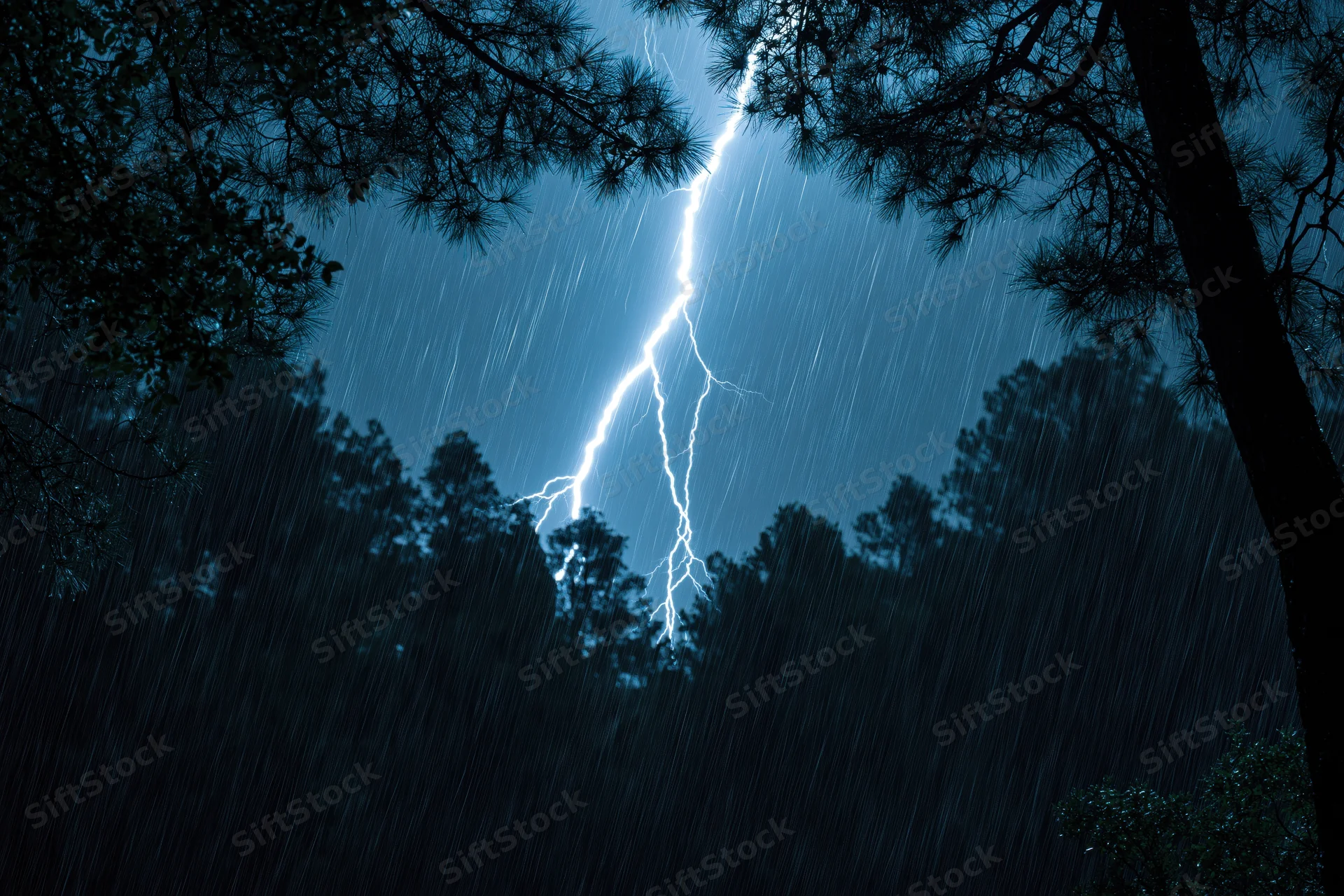 Lightning bolt striking through dark pine forest at night during heavy rain