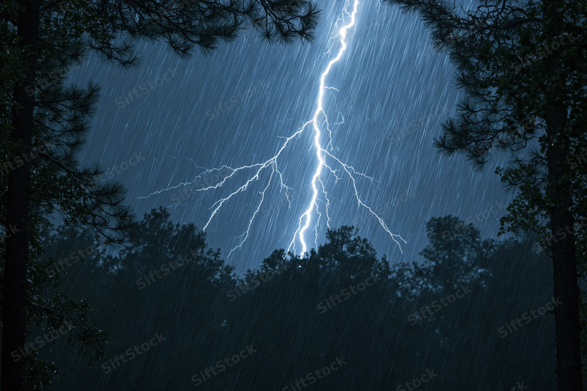 Lightning bolt striking through dark pine forest at night during heavy rain