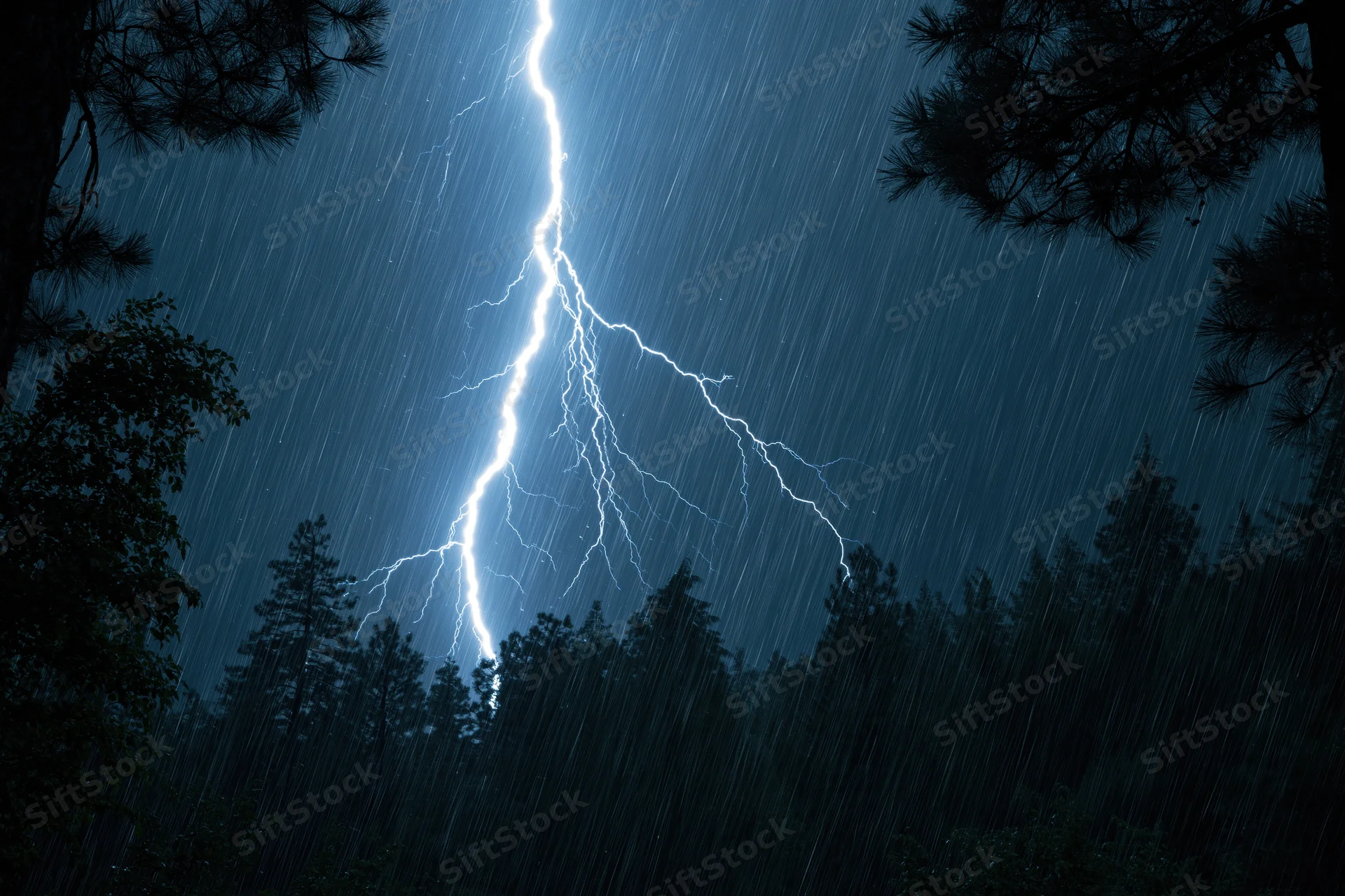 Lightning bolt striking through dark pine forest at night during heavy rain