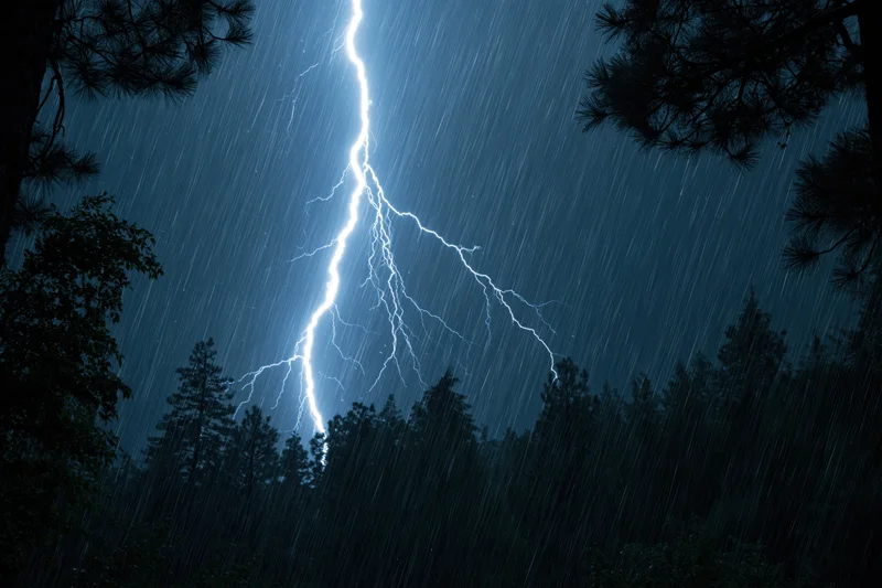Lightning bolt striking through dark pine forest at night during heavy rain