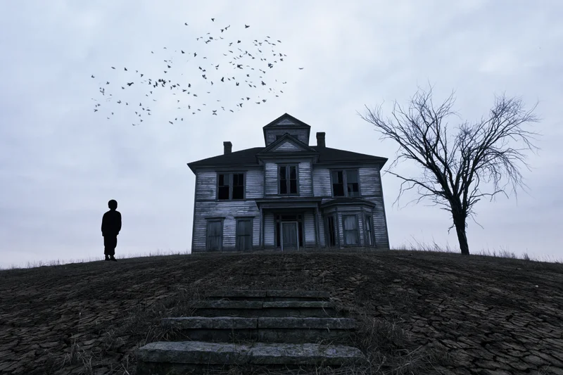Child silhouette standing before abandoned house on hill with bare tree and flying birds