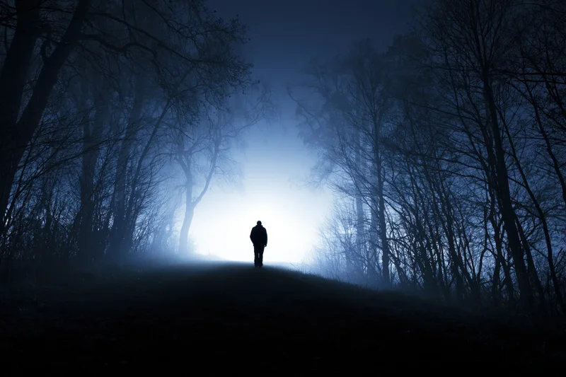 Silhouette of a person standing on a forest path facing a bright light at night