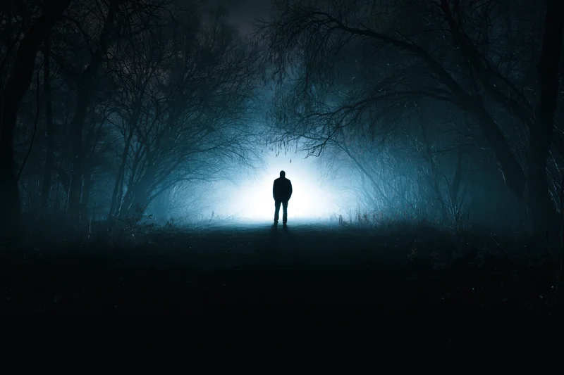 Silhouette of a man standing alone on a dark forest path facing a bright glowing light