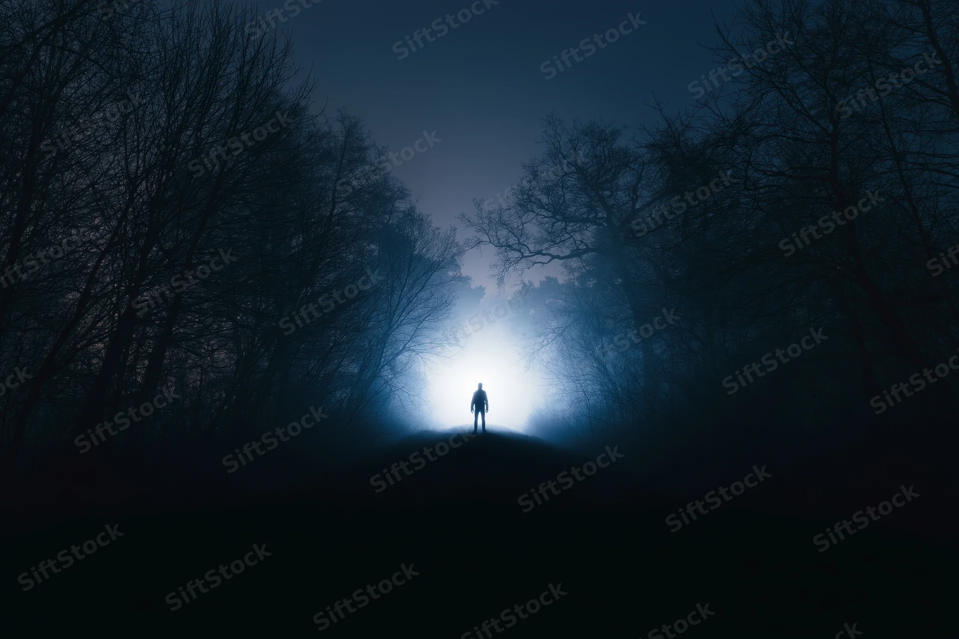 Silhouette of a person standing on a forest path at night facing a bright light through misty trees