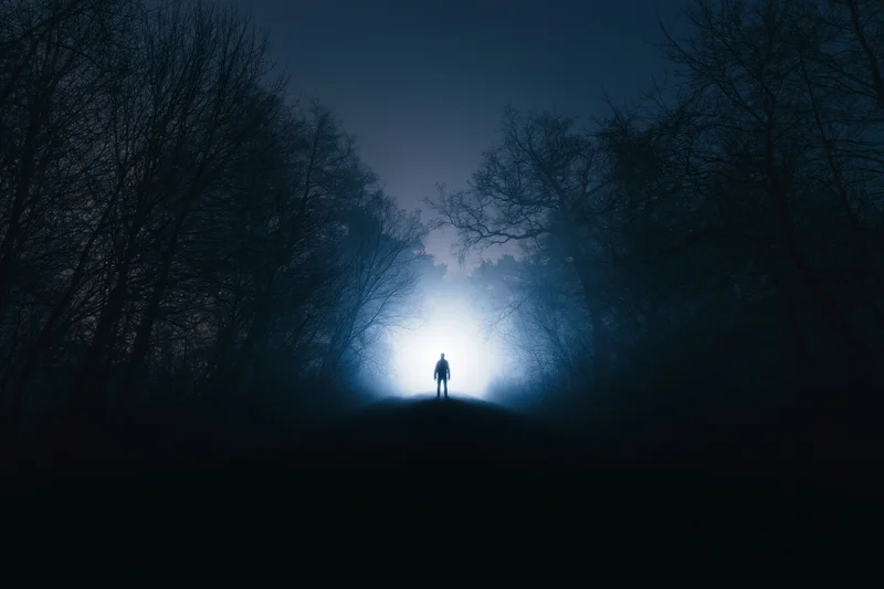Silhouette of a person standing on a forest path at night facing a bright light through misty trees