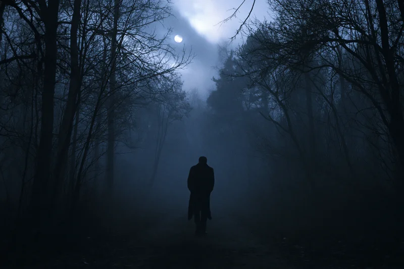 Silhouette of a man walking away on a narrow path through a foggy forest at night