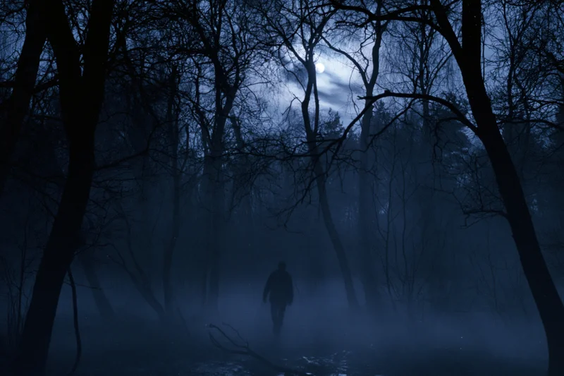 Silhouetted man walking through foggy forest at night under moonlight