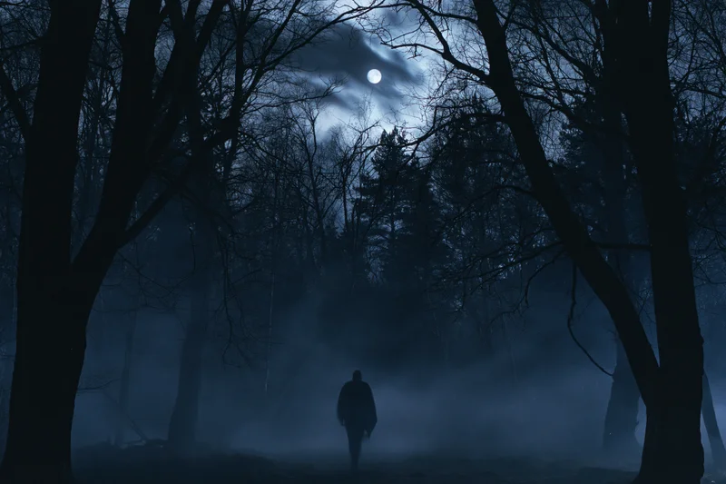 Silhouetted figure walking through foggy forest at night under moonlight