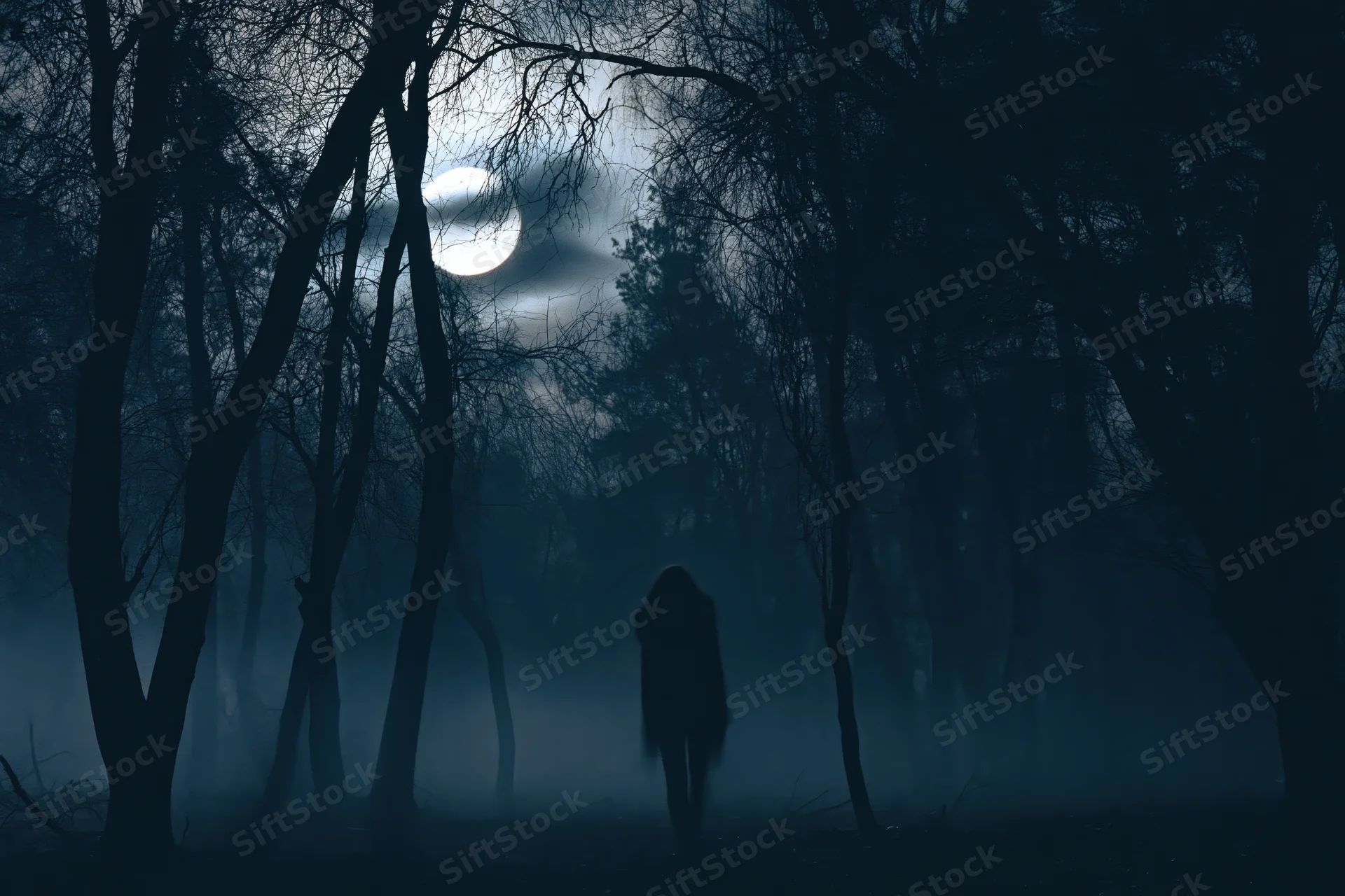Silhouetted figure walking through foggy forest at night under moonlight