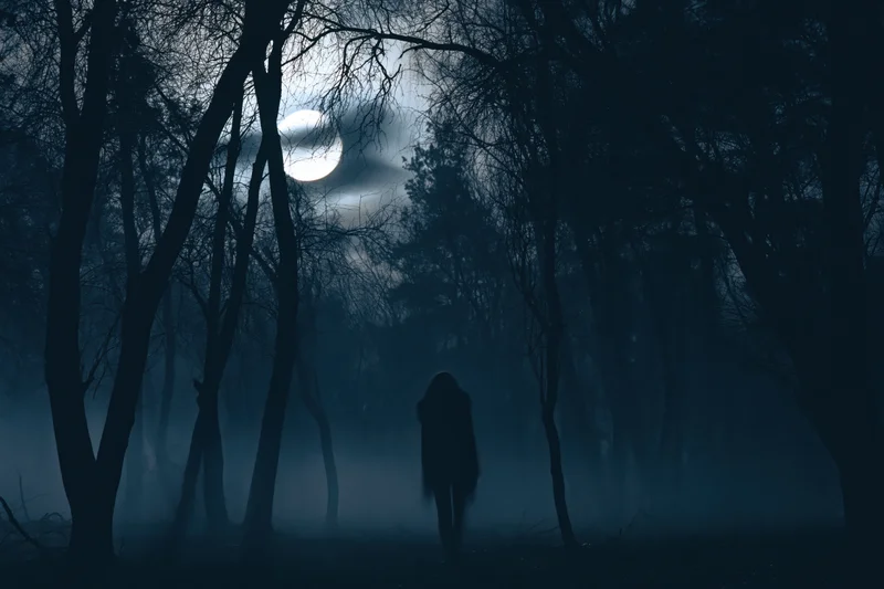 Silhouetted figure walking through foggy forest at night under moonlight