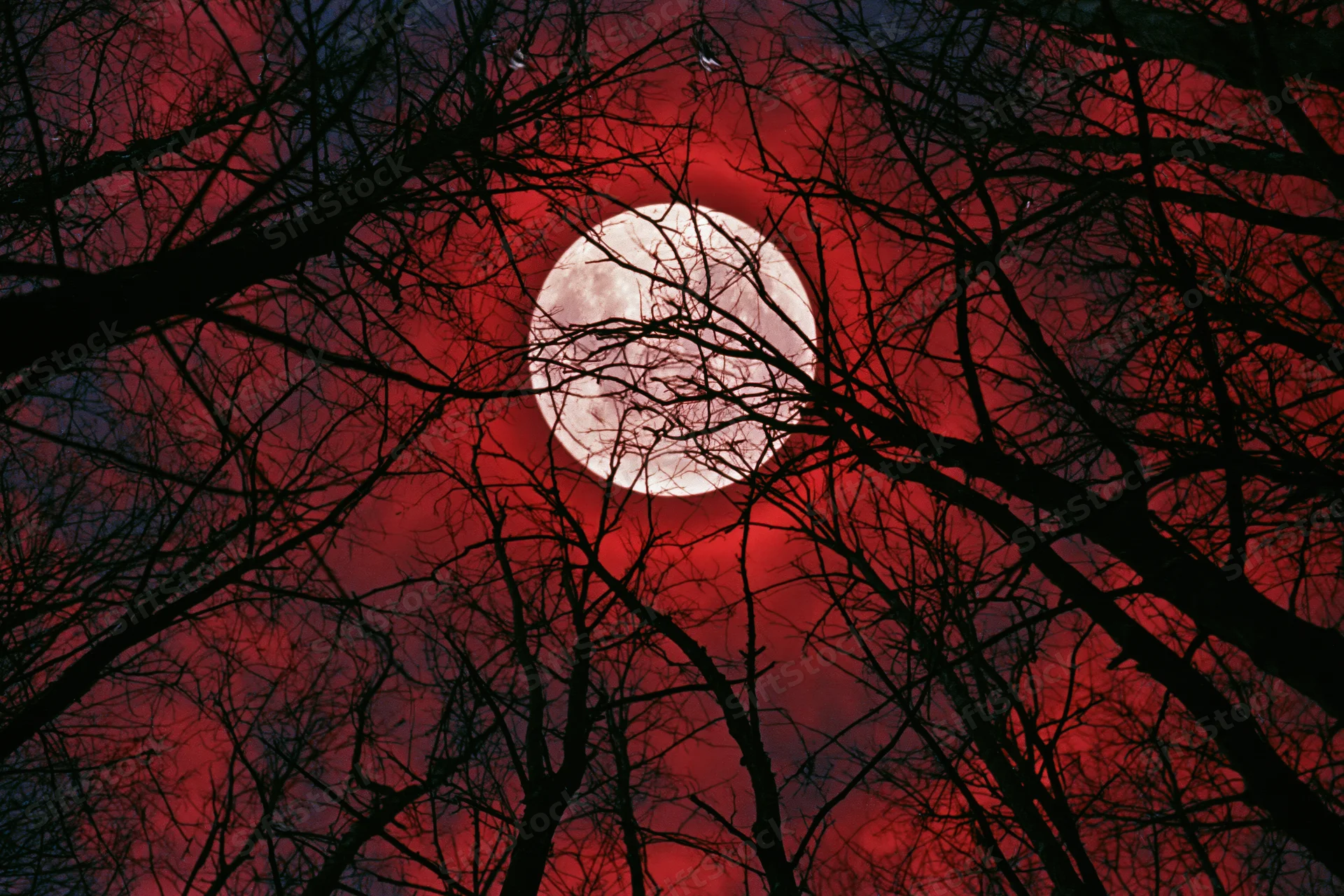 Full moon glowing red through bare winter tree branches against dark sky