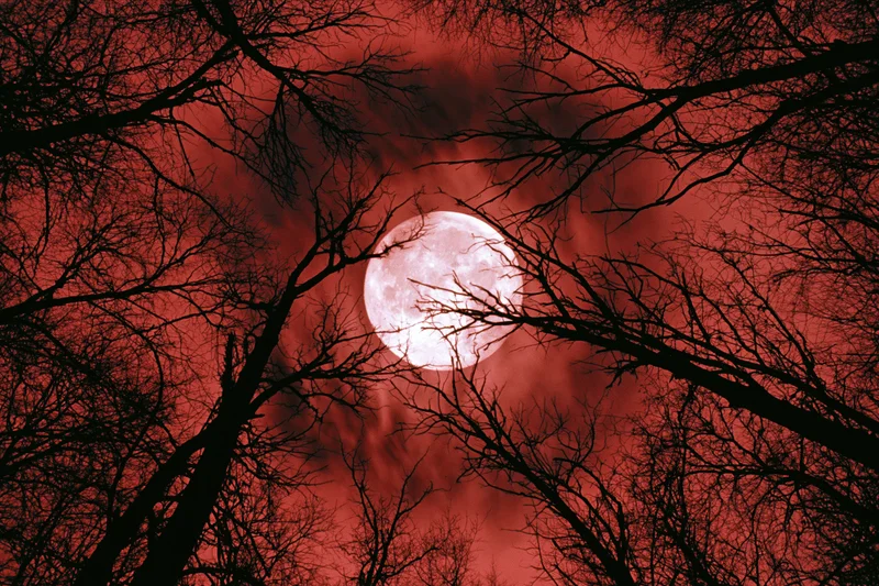 Full moon glowing through bare winter tree branches against a red sky